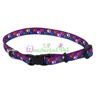 Ошейник Coastal Pet Attire Style для собак, лапка, 1×12-30 см