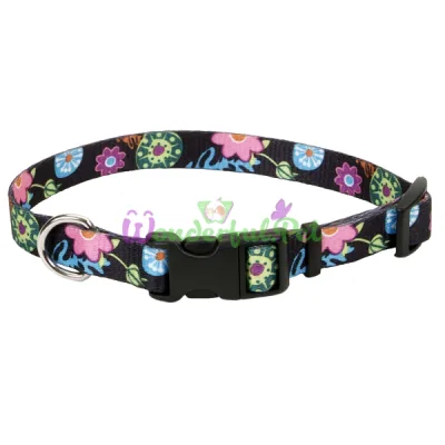 Ошейник Coastal Pet Attire Style для собак, дикие цветы, 1×12-30 см