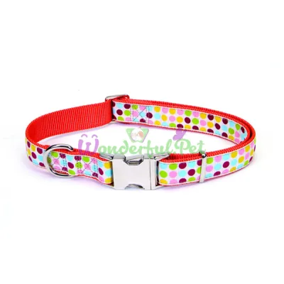 Ошейник Coastal Pet Attire Ribbon для собак, точка, 2.5×70 см