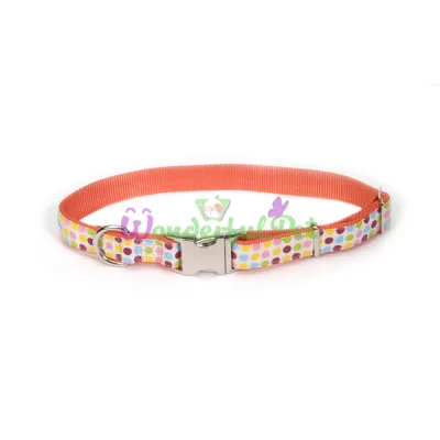 Ошейник Coastal Pet Attire Ribbon для собак, разноцветный, 1.6×30 см