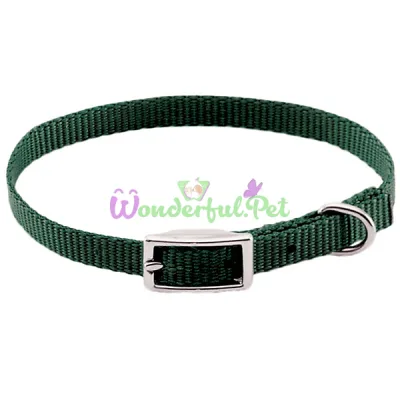 Ошейник Coastal Nylon Web для собак, хакки, 1×25 см