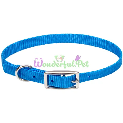 Ошейник Coastal Nylon Web для собак, голубой, 1×25 см