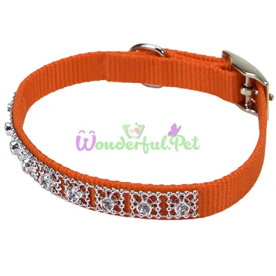 Ошейник Coastal Jeweled для собак, оранжевый, 1×30 см