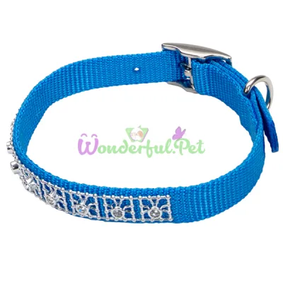Ошейник Coastal Jeweled для собак, голубая лагуна, 1×25 см