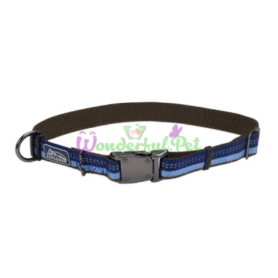 Нейлоновый ошейник Coastal K9 Explorer для собак, синий, 2.5×30-45 см