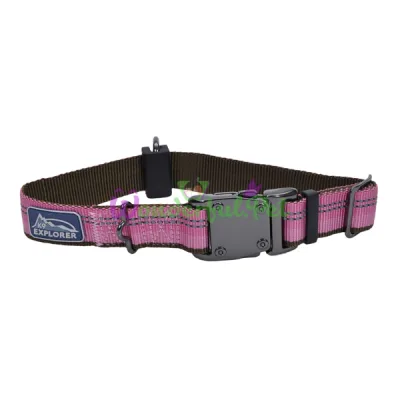 Нейлоновый ошейник Coastal K9 Explorer для собак, розовый, 2.5×30-45 см