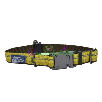 Нейлоновый ошейник Coastal K9 Explorer для собак, оранжевый, 2.5×30-45 см