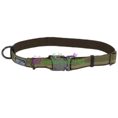 Нейлоновый ошейник Coastal K9 Explorer для собак, зеленый, 2.5×45-65 см