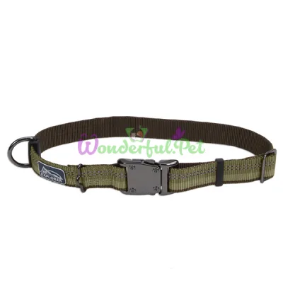 Нейлоновый ошейник Coastal K9 Explorer для собак, зеленый, 2.5×30-45 см