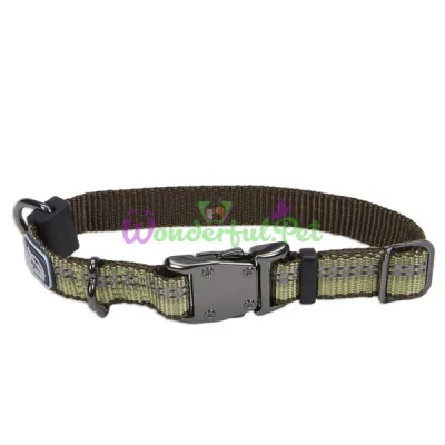Нейлоновый ошейник Coastal K9 Explorer для собак, зеленый, 1.6×20-30 см