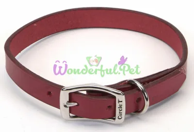 Кожаный ошейник Coastal Circle T Leather Town для собак, черный, 2×50 см