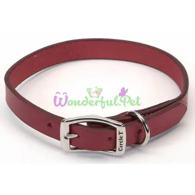 Кожаный ошейник Coastal Circle T Leather Town для собак, черный, 2×50 см