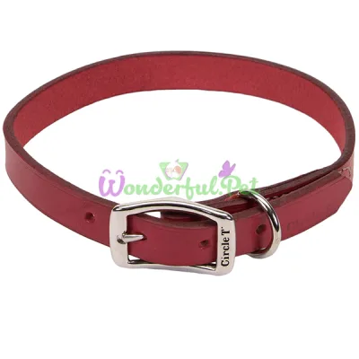 Кожаный ошейник Coastal Circle T Leather Town для собак, красный, 2.5×55 см