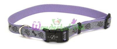 Светоотражающий ошейник Coastal Lazer для собак, фиолетовый, 1.6×30-45 см