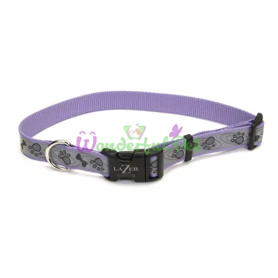 Светоотражающий ошейник Coastal Lazer для собак, фиолетовый, 1.6×30-45 см