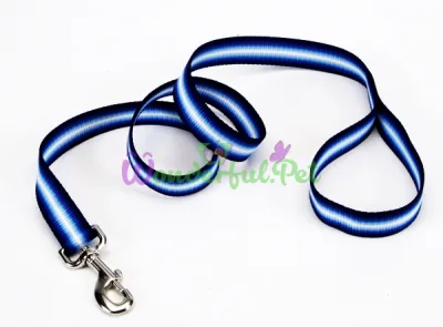 Поводок Coastal Trendz Graduated для собак, синий, 1×1.8 м