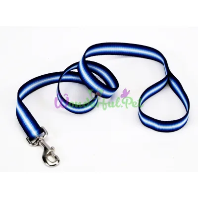 Поводок Coastal Trendz Graduated для собак, синий, 1×1.8 м