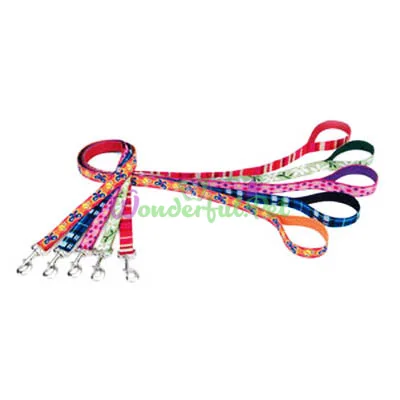 Поводок Coastal Pet Attire Weave для собак, клетка, 1.6×1.2 м