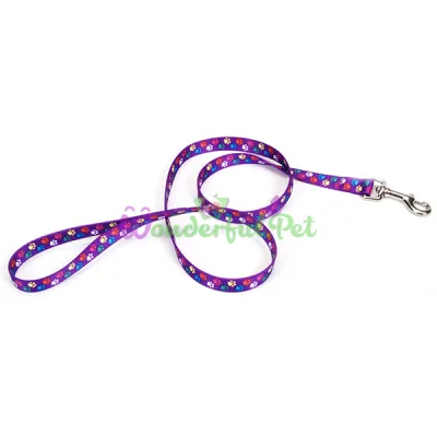Поводок Coastal Pet Attire Style для собак, фиолетовый, 1×1.2 м