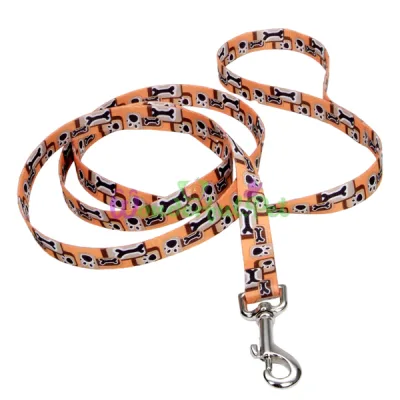 Поводок Coastal Pet Attire Style для собак, оранжевый, 2×1.2 м