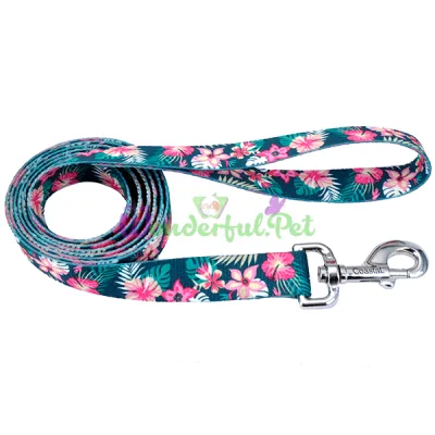 Поводок Coastal Pet Attire Style для собак, бирюзово-розовый, 1×1.2 м
