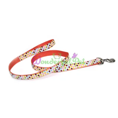 Поводок Coastal Pet Attire Ribbon для собак, разноцветный, 1.6×1.2 м