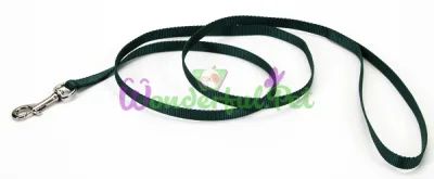 Поводок Coastal Nylon для собак, хакки, 1×1.2 м