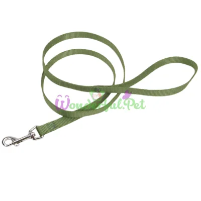 Нейлоновый поводок Coastal Training Lead для собак, зеленый, 1.5×1.8 м