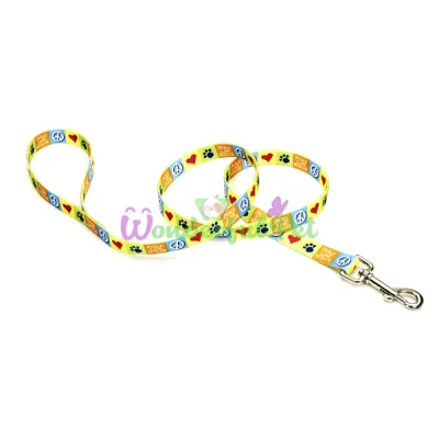 Нейлоновый поводок Coastal Pet Attire для собак, 1×1.8 см