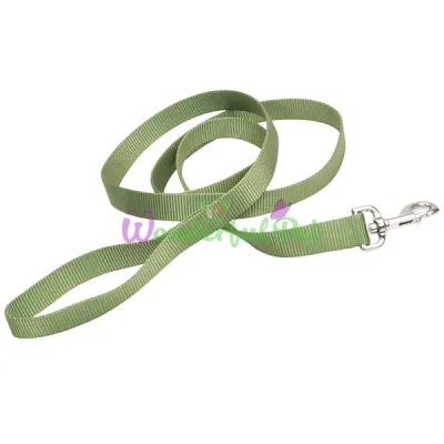 Нейлоновый поводок Coastal Nylon Training для собак, зеленый, 2.5×1.8 м