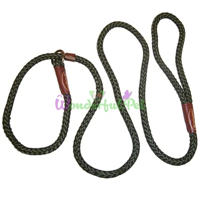 Ошейник-поводок Coastal Remington Rope Dog Leash для собак, рывковый, зеленый, 1×1.8 м