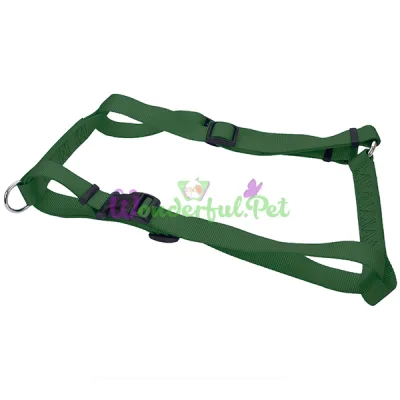 Нейлоновая шлея Coastal Nylon Adjustable для собак, зеленый, 2.5×66-97 см