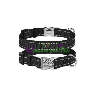 Ошейник нейлоновый BronzeDog Active для собак со светоотражением 25 мм 43-66 см черный 38Т