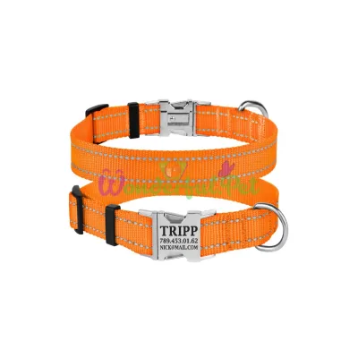 Ошейник нейлоновый BronzeDog Active для собак со светоотражением 25 мм 35-45 см оранжевый 34Т