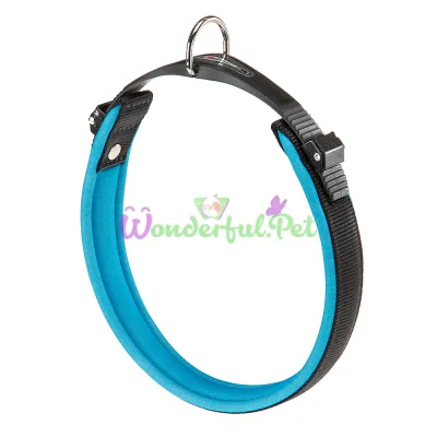 Ошейник на мягкой подкладке Ferplast Ergofluo C25 60 Blue для собак A: 52÷60 см B: 25 мм