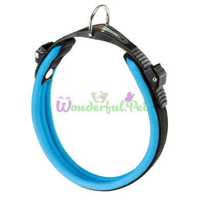 Ошейник на мягкой подкладке Ferplast Ergofluo C15 33 Blue для собак A: 25÷33 см B: 15 мм