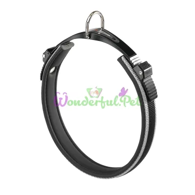 Ошейник Ferplast Ergocomfort C15 42 Grey для собак A: 34÷42 см B: 15 мм