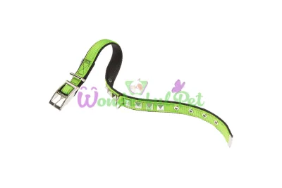 Нейлоновый ошейник Ferplast Dual CF25 43 Colours Green-Black для собак 25 мм A: 37÷45 см