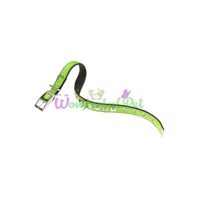 Нейлоновый ошейник Ferplast Dual CF25 43 Colours Green-Black для собак 25 мм A: 37÷45 см