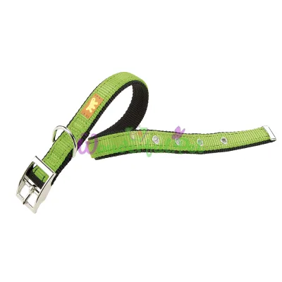 Нейлоновый ошейник Ferplast Dual CF25 43 Colours Green для собак 25 мм A: 37÷45 см