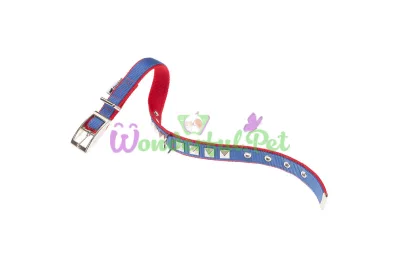 Нейлоновый ошейник Ferplast Dual CF25 43 Colours Blue-Red для собак 25 мм A: 37÷45 см