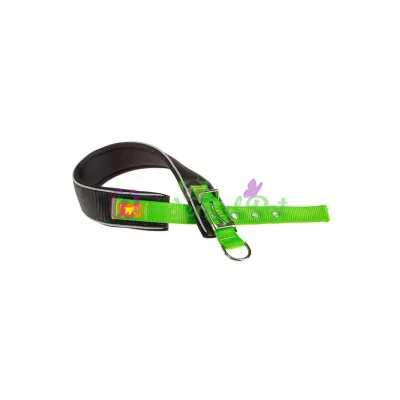 Нейлоновый ошейник Ferplast Daytona Comfort CF40 45 Green для собак зеленый A: 37x45 см B: 40 мм