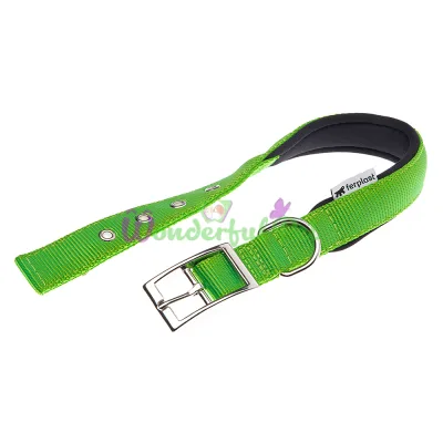 Нейлоновый ошейник Ferplast Daytona C25 53 Green для собак зеленый A: 45x53 см B: 25 мм