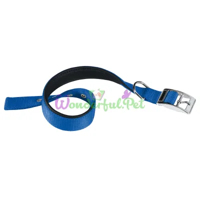 Нейлоновый ошейник Ferplast Daytona C20 43 Blue для собак синий A: 35x43 см B: 20 мм