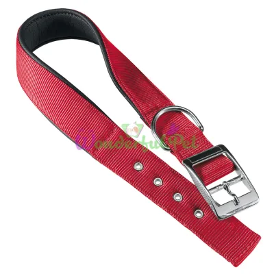 Нейлоновый ошейник Ferplast Daytona C15 35 Red для собак красный A: 27x35 см B: 15 мм