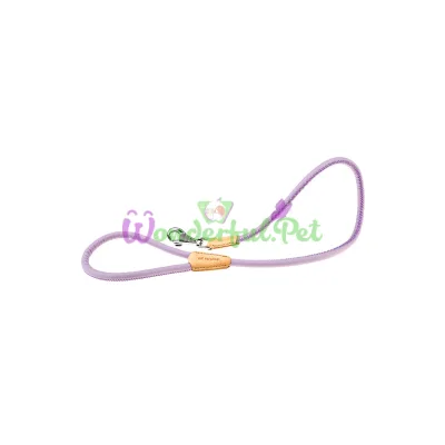 Поводок из эко-кожи Ferplast Derby G12 110 Purple для собак 12 мм 110 см
