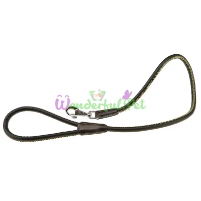 Поводок из эко-кожи Ferplast Derby G12 110 Black для собак 12 мм 110 см