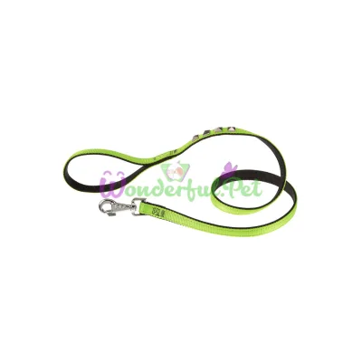 Нейлоновый поводок Ferplast Dual Pyramids G20 120 Green-Black для собак 20 мм 120 см