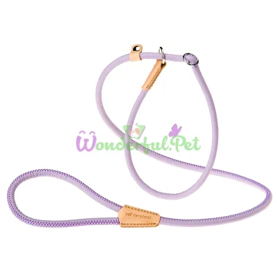 Поводок с ошейником из эко-кожи Ferplast Derby GC10 160 Purple для собак 10 мм 160 см