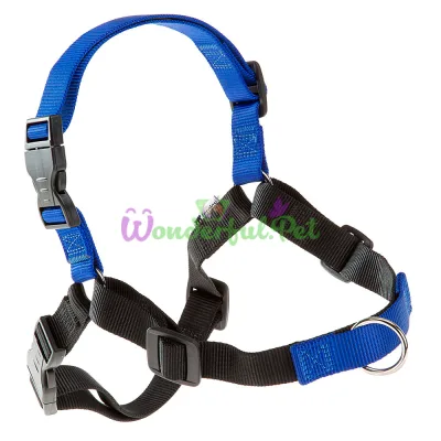 Шлейка Ferplast Coach P M-L Harness Blue для дрессировки A: 20x26 см B: 42x59 см